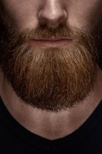 beard-377x566.jpg