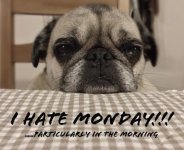 Monday.jpg