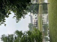 IMG_4467.jpeg