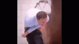 1687979700548.gif