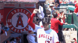 1688166761226.gif