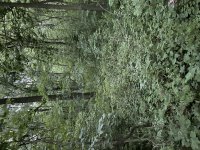 IMG_4504.jpeg