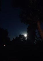 20230702_214305.jpg