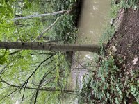 IMG_4610.jpeg