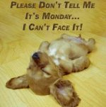 Monday.jpg