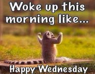 wednesday.png