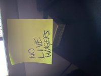 IMG_1199.jpeg