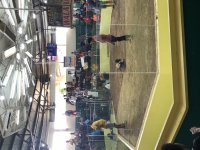 D87050C1-7ABD-4DB1-9446-FA55359F51FA.jpeg