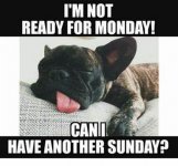 Monday.jpg