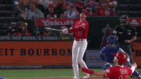 1689610936978.gif