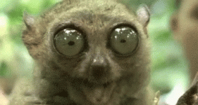 1689651255703.gif