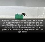 1689872555544.jpeg