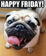 friday.jpg