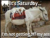saturday.jpg