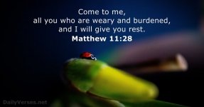 matthew-11-28-3.jpeg