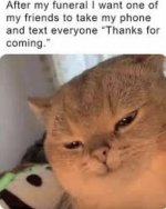 1690246547788.jpeg