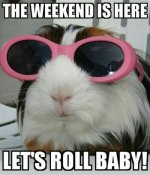saturday.jpg