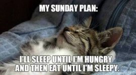 sunday.jpg