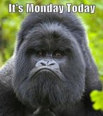 Monday.jpg