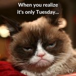 tuesday.jpg