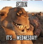 wednesday.jpg