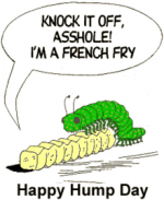 1690983176967.png