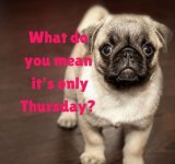 thursday.jpg