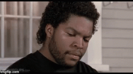 1691279891569.gif
