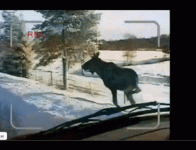 46AE5787-FAF9-4DB1-930B-D080FC6EC131.gif
