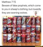 1691411486849.jpeg