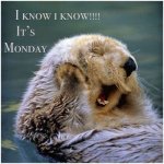 Monday.jpg