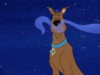 1691445474354.gif