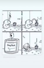 1691461992664.jpeg