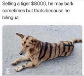 1691517738097.png