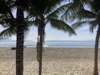 IMG_2325.jpeg