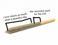 1691542761023.png