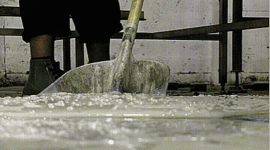 1691591320558.gif