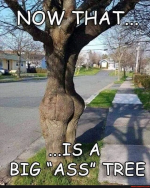 1691625688010.png