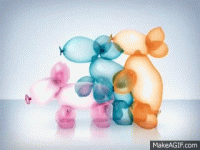 1691698293412.gif