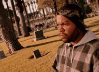 1691886239890.gif