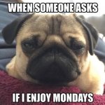 Monday.jpg