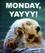 Monday.jpg