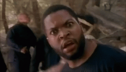 1692753255595.gif