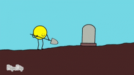 1692882631642.gif