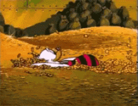1692884149212.gif
