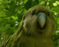 1692990461225.gif