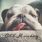 Monday.jpg