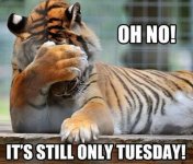 tuesday.jpg