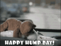 1693402886060.gif