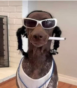1693493673421.png